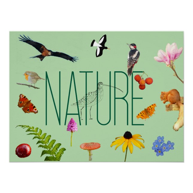 Póster Poster natural (Frente)