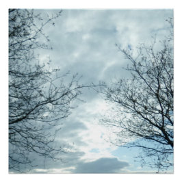 Póster Poster natural