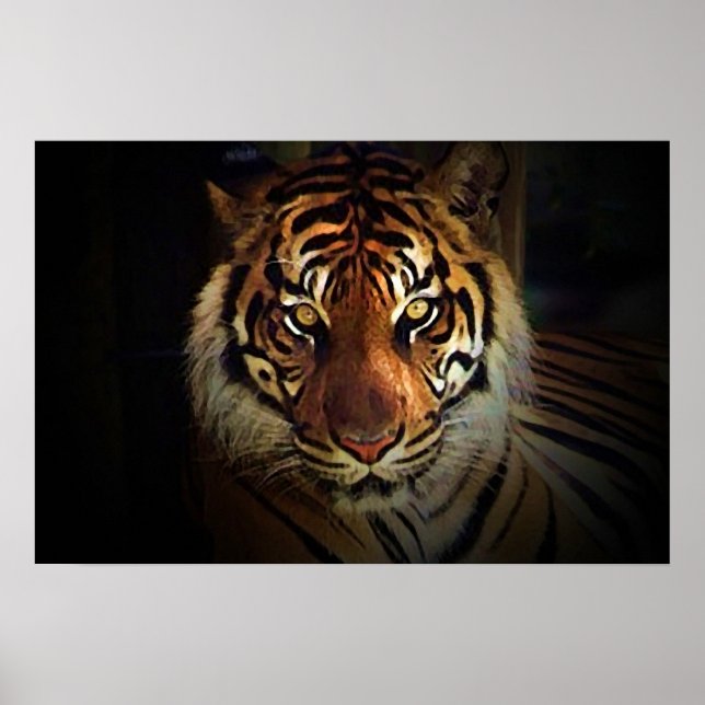 Póster Pôster Olhos de Tigre - Pôsteres de Vida Selvagem (Frente)