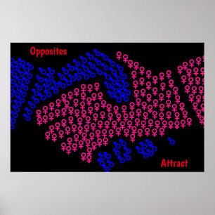 Poster Pôster Opostos se Atraem