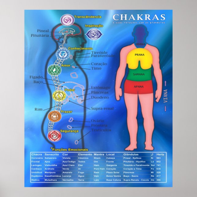 Póster Pôster Os Chakras e suas ligações (Frente)