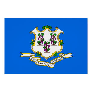 Póster Poster patriótico da parede com a bandeira de