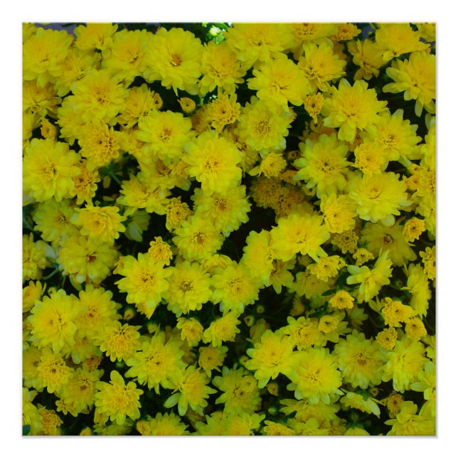 Póster Poster Perfeito do Flor Mãe Amarelo (Frente)