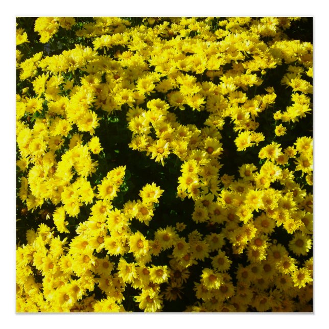 Póster Poster Perfeito do Flor Mãe Amarelo (Frente)