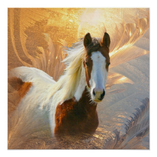Póster Poster Perfeito Dourado Cavalo de Tinta (Frente)