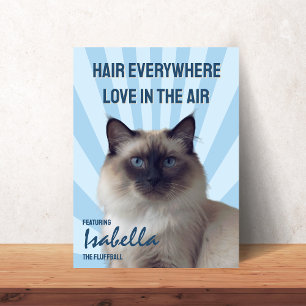 Poster Pôster Personalizado de Gato 'Pelos por Todos os L