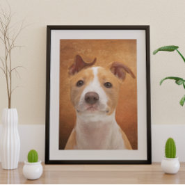 Póster Poster Pitbull