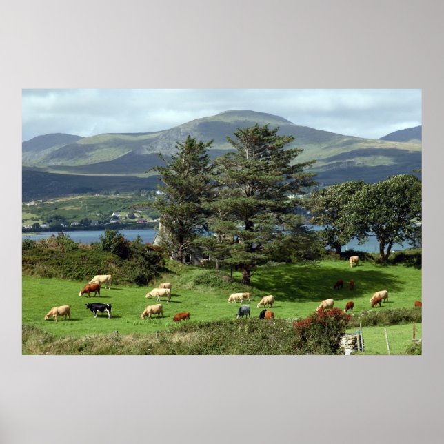 Póster poster-prado-da-ilha (Frente)