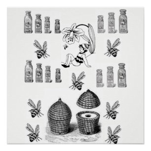 Póster poster preto branco de abelha