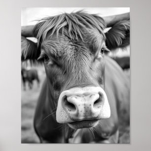 Poster Pôster Preto e Branco de Vaca Indo para o Rancho