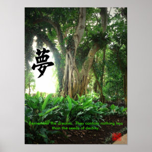 Póster Poster: Recorde os sonhos. …