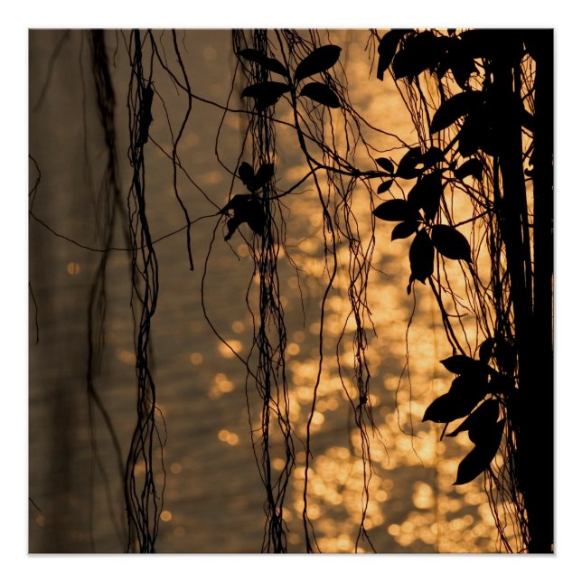 Póster Poster Romântico Sunset (Frente)