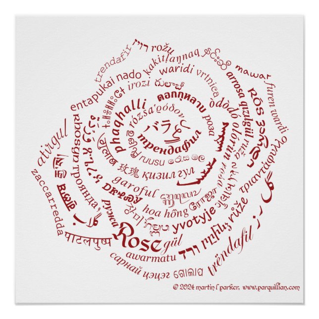 Póster Poster Rosa do Mundo (Frente)