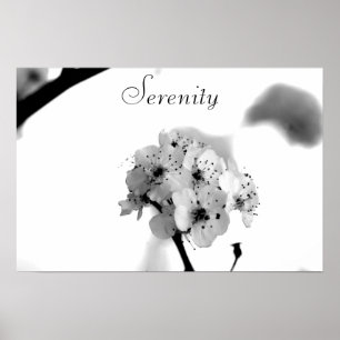 Poster Poster-Serenidade inspirador
