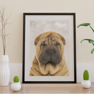 Póster Poster Sharpei chinês