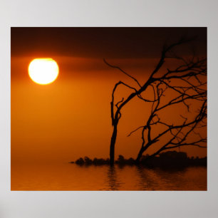 Póster pôster silhueta sol pôr do sol
