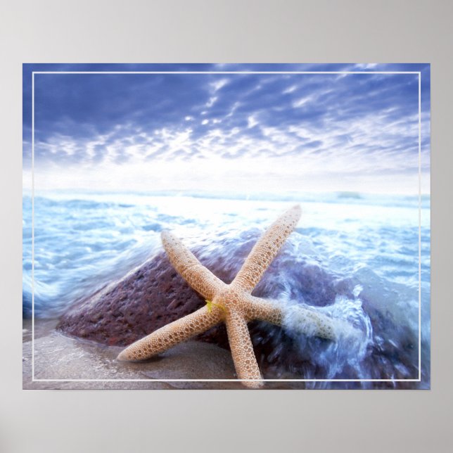 Poster Poster-Starfish (Frente)