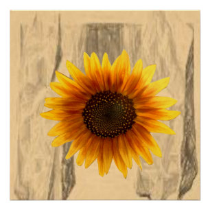 Póster Poster Sunflower