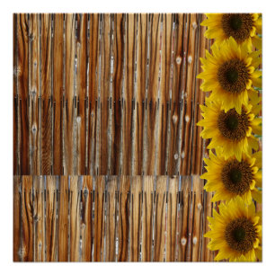 Póster Poster Sunflower