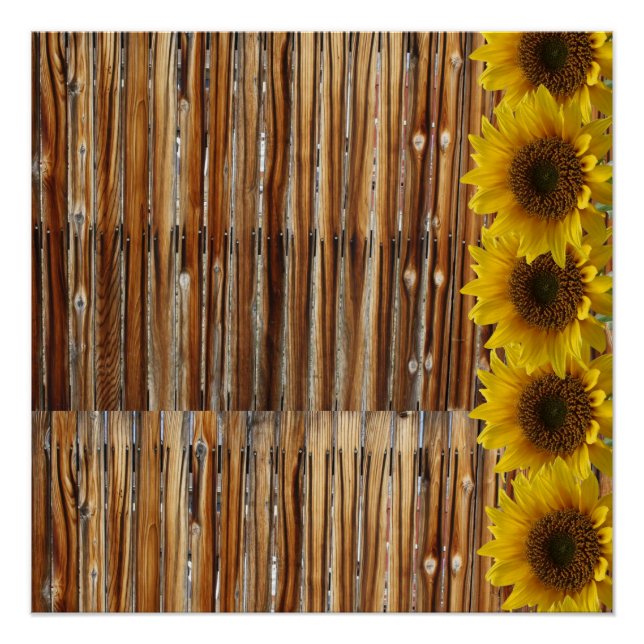 Póster Poster Sunflower (Frente)