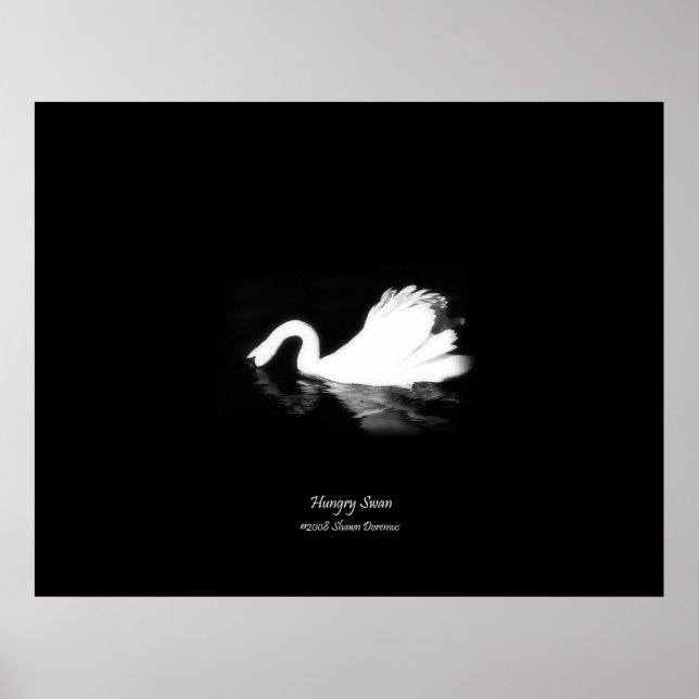 Poster Poster, Swan Fome, Preto e Branco, Fotografia (Frente)