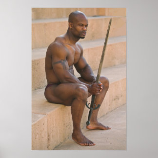 Póster Poster, Ulisses Entre Batalhas