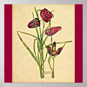 Póster Poster-Vintage-Charles Rennie Mackintosh 20