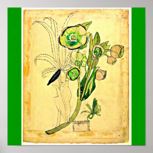 Poster Poster-Vintage-Charles Rennie Mackintosh 21