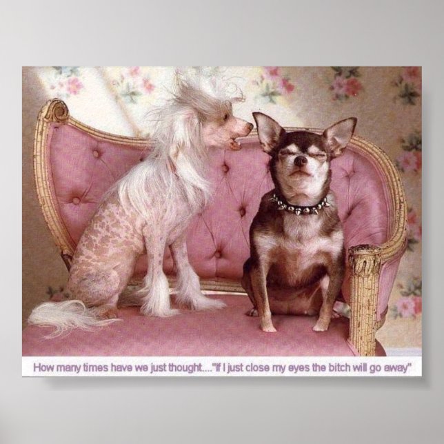 Poster Pôsteres (Frente)