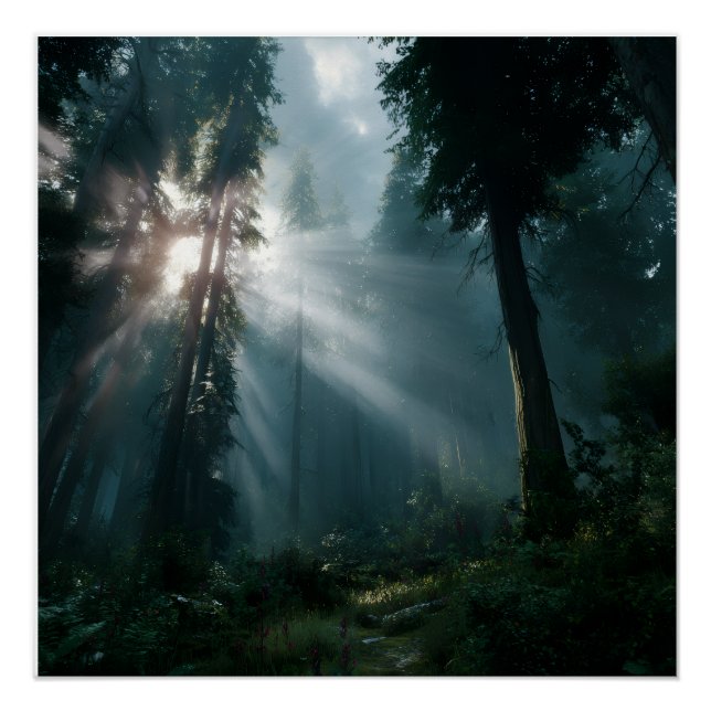 Póster Pôsteres (Frente)