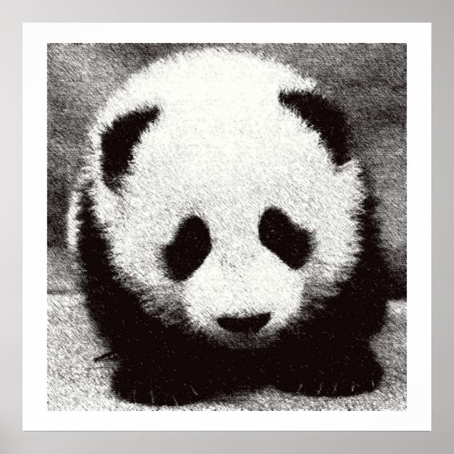 Póster Pôsteres de Arte de Panda Bebê (Frente)
