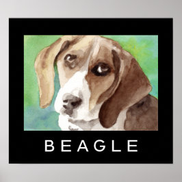 Poster Pôsteres de Beagle