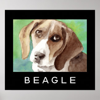 Poster Pôsteres de Beagle