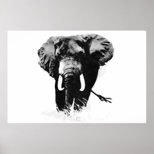 Poster Pôsteres de Elefantes Panorâmicos em Preto e Branc