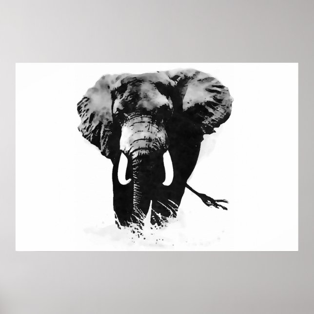 Poster Pôsteres de Elefantes Panorâmicos em Preto e Branc (Frente)
