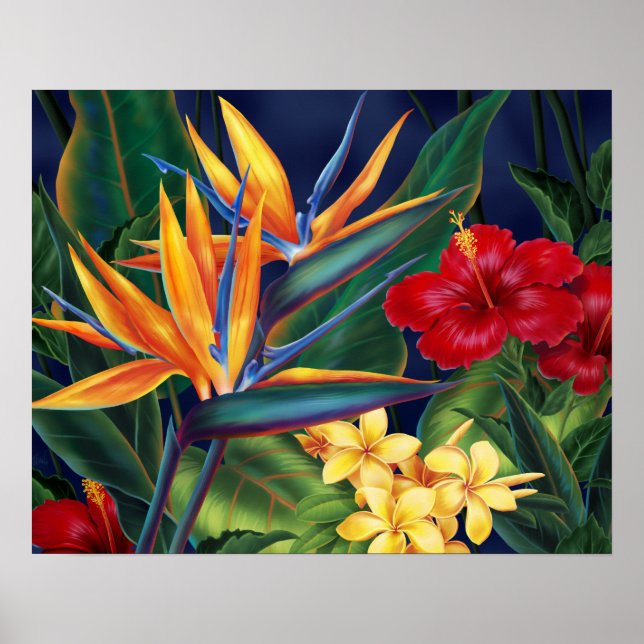 Póster Pôsteres do Paraíso Tropical (Frente)