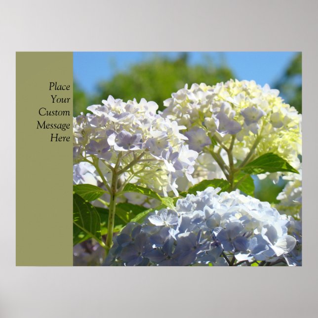 Póster Pôsteres Personalizados Flores de Hortênsia Azul i (Frente)