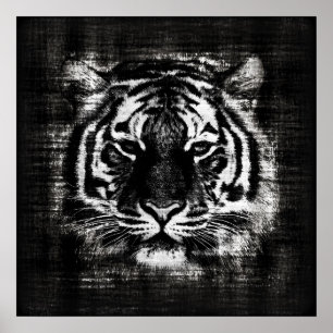 Póster Posteres vintage de Tigre Preto e Branco