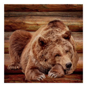 Póster Posters DE CABINA DO REGISTRO DE URSO GRIZZZZZZELY