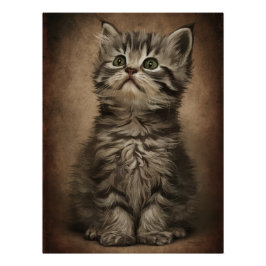 Póster Posters Dives Cat 4