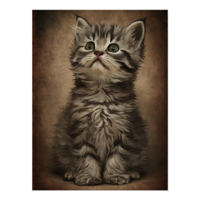 Póster Posters Dives Cat 4 (Frente)