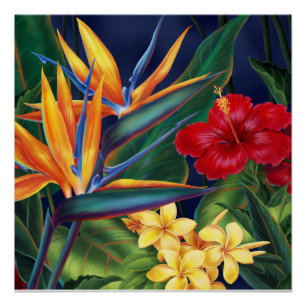 Póster Posters florais havaianos do paraíso tropical