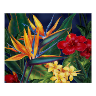 Póster Posters florais havaianos do paraíso tropical