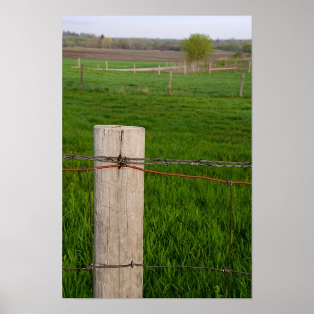 Poster Posto Barbed Wire Fence (Frente)
