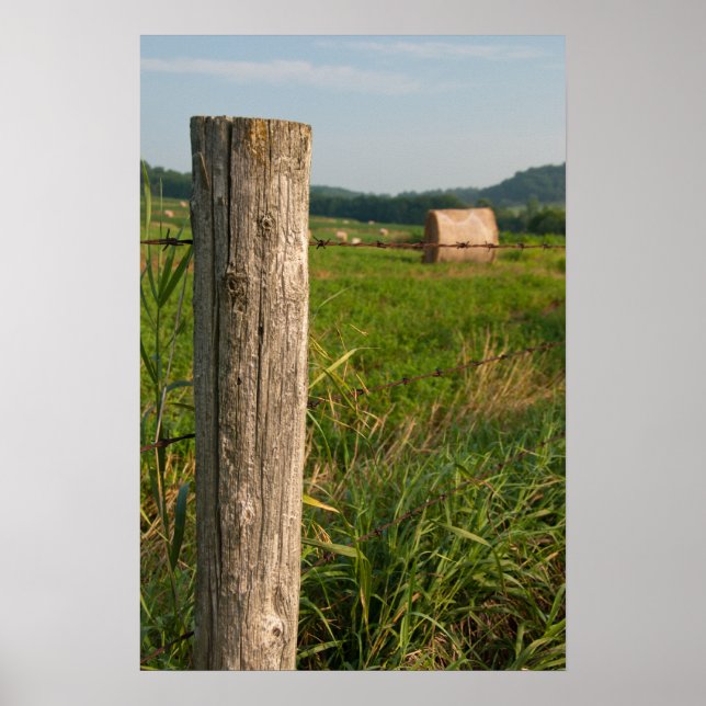 Poster Posto de cerca de Fazenda rural e caules (Frente)