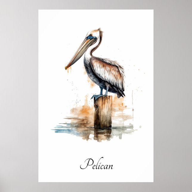 Poster Postura do Pelicano  (Frente)