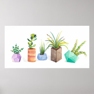 Poster Pot of Succulents