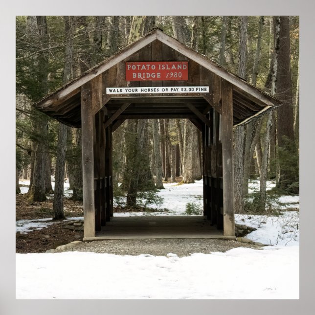 Poster Potato Island Bridge (Frente)
