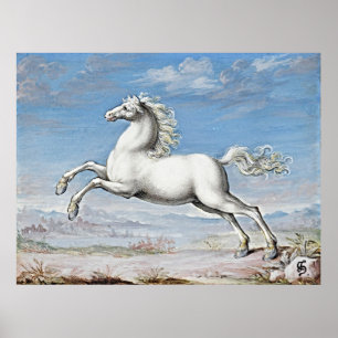 Poster Potência Graciosa: Cavalo Branco - Trabalho de art