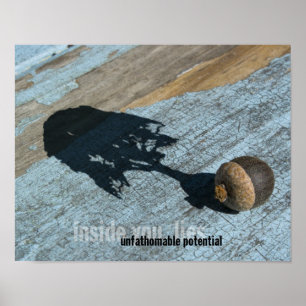 Poster potencial